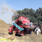Farmers busy in threshing rice crop in their field with help of thresher machine at near Husri.