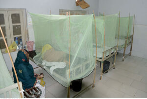  Dengue patients are under treatment at Bhitai Hospital as the dengue fever is spreading at an alarming proportion in the city.