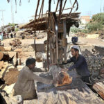 Labourer busy in cutting huge wood into pieces with cutting machine at their work palace.