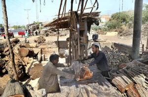 Labourer busy in cutting huge wood into pieces with cutting machine at their work palace.