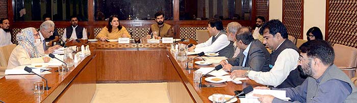 Senator Mrs. Rubina Khalid, Convener Sub-Committee of the Senate Standing COMMITTEE on National Health Services, Regulations and Coordination presiding over a meeting of the sub-committee at Parliament House.