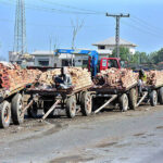 Camel cart holders in a queue loaded with bricks at Fateh chowk.