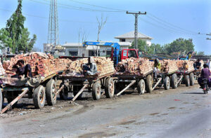 Camel cart holders in a queue loaded with bricks at Fateh chowk.
