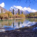 An attractive view of trees changing leaves color to mark autumn in the north area of Pakistan along river Ghizer