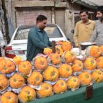 A vendor displaying and selling papaya at Mall road