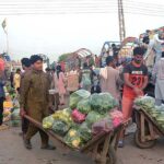 Labourers carrying vegetables on hand cart deliver to at Vegetable Market in the city.