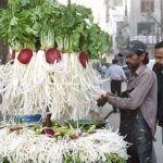A vendor displaying fresh radish on handcart to attract the customers in Provincial Capital