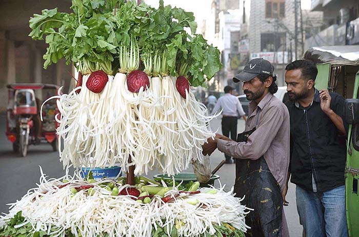 A vendor displaying fresh radish on handcart to attract the customers in Provincial Capital