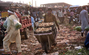 Labourers carrying vegetables on hand cart deliver to at Vegetable Market in the city.