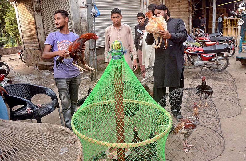Customers buying birds from a roadside vendor at Bird Market