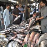 People purchasing fish from a vendor at H9 Bazar in the Federal Capital