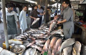 People purchasing fish from a vendor at H9 Bazar in the Federal Capital