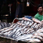 Vendor displaying and selling fish to attract the customers outside his shop