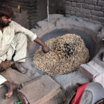 A labourer busy in roasting peanuts at his workplace as demand increased during winter season