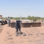 Labourers adding coal as fuel for the preparation of bricks at a kiln