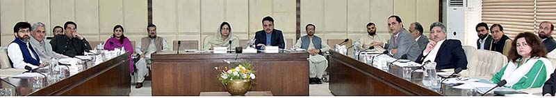 Senator Khalida Ateeb, Chairperson Senate Standing Committee on Industries and Production presiding over a meeting of the committee at Parliament House
