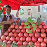 Vendor displaying pomegranates at his handcart for attracting customer near Adalat Road.