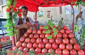 Vendor displaying pomegranates at his handcart for attracting customer near Adalat Road. 