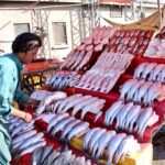 A vendor displays fish as winter knocks on the door of the provincial capital with mounting demand of the seafood