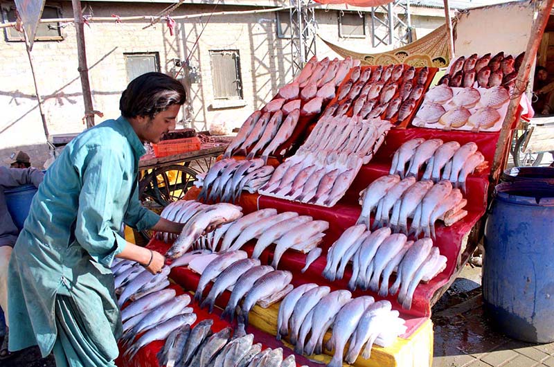 A vendor displays fish as winter knocks on the door of the provincial capital with mounting demand of the seafood