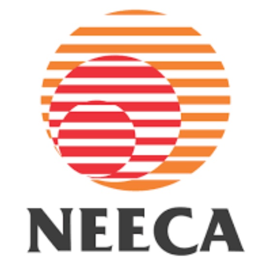NEECA organizes talk on energy efficiency, potentials in gas sector