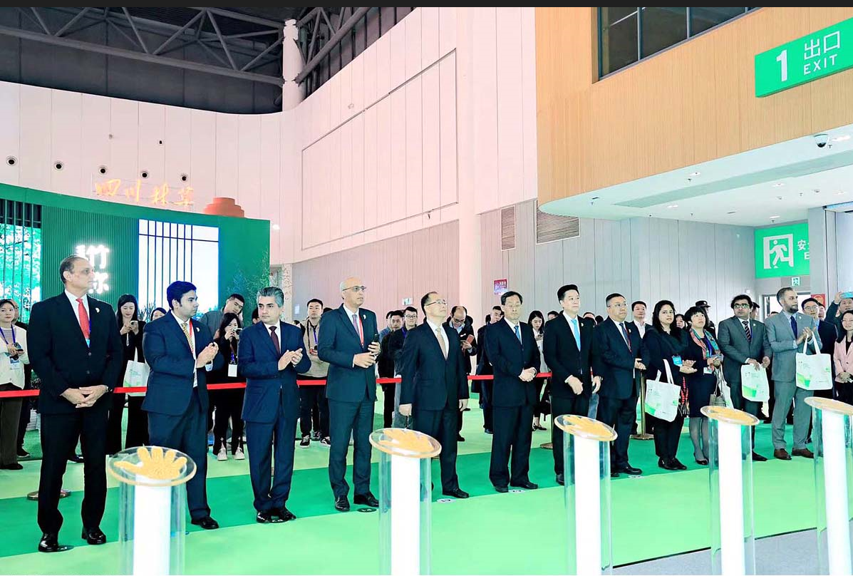 Pakistan Pavilion in Chengdu introduces famous touristic sites