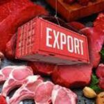 export meat
