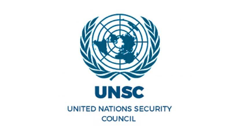 United Nations Security Council