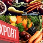 Export food product