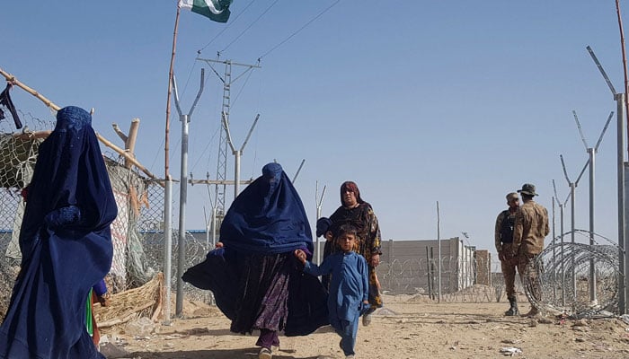 Returning of illegal foreigners continue
