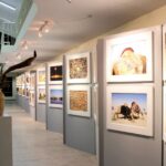 Bahawalpur Art Gallery