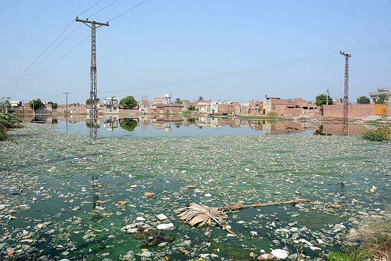 Sewerage water accumulated at Naranwala Road may cause dengue spread in the area and needs attention to the concerned authority