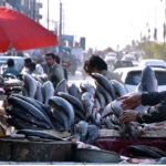 A vendor displaying fish to attract customers at Lehtrar Road neighborhood in the Federal Capital