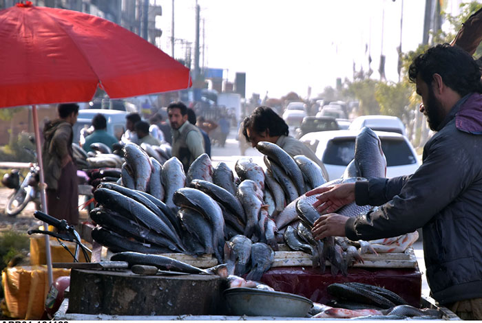 A vendor displaying fish to attract customers at Lehtrar Road neighborhood in the Federal Capital