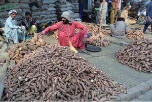 Traders displaying and selling sweet potatoes to customers at Fruit Market.