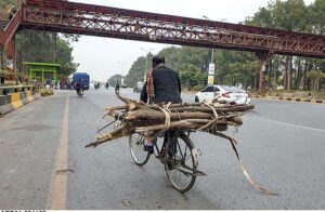 A person carrying woods on his bicycle near zero Point.