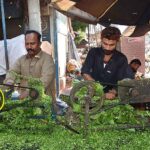 Vendors chopping Mustard (Saag) for customers at his roadside setup