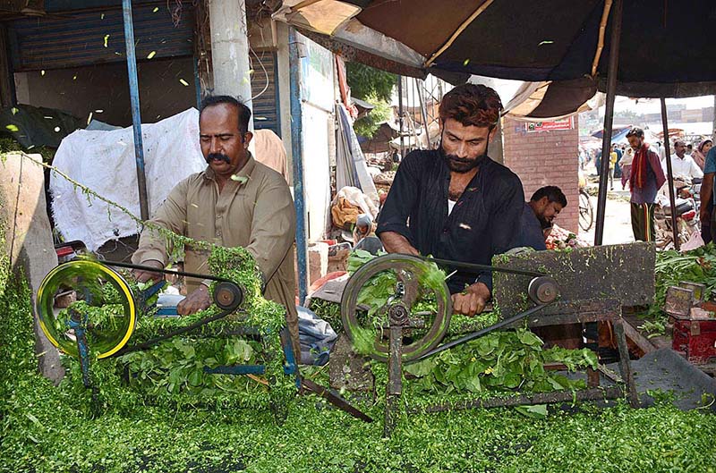 Vendors chopping Mustard (Saag) for customers at his roadside setup