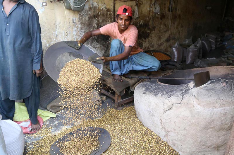 A labour arranging black chickpeas after roosting at his work place