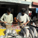 Vendors are selling and cutting fish as its demand increased despite high prices of white meat for winter at the Fish Market.