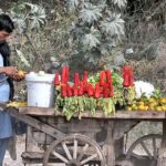 A vendor displaying carrots and radish to attract the customers.