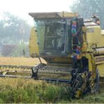 Heavy machinery is being used for harvesting rice crop in the field.