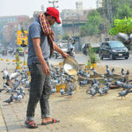 A person is throwing food for pigeons as an act of mercy on the footpath.