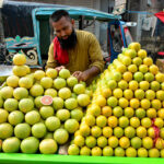 A vendor is displaying seasonal fruits, Mosambi and grapefruit, on a handcart to attract customers.