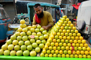 A vendor is displaying seasonal fruits, Mosambi and grapefruit, on a handcart to attract customers.