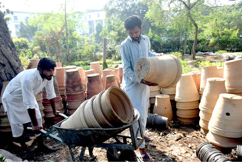 PHA workers preparing plant pots at Local Park