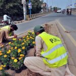 PHA workers busy planting on green belt near Azadi chowk.