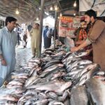 Vendor displaying fish to attract the customers at Weekly Bazaar in Federal Capital.