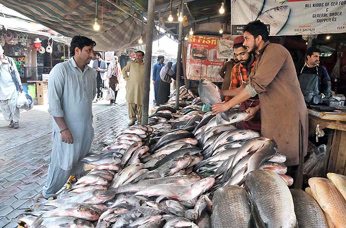 Vendor displaying fish to attract the customers at Weekly Bazaar in Federal Capital.
