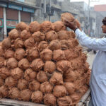 A vendor busy in arranging and displaying coconut on handcart to attract the customers
